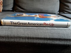 The Great American Pin Up Hardback Book By Charles G Martignette NEW Unread Copy