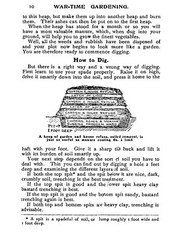 War Time Gardening How To Grow Your Own Food „1915” 62 Pages
