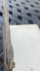 1889 A Short Course in Higher Algebra with Answers Webster Wells