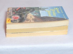 Lot 5 Vtg YA Natalie Babbitt Walter Buehr Theodore Taylor Jean Craighead George
