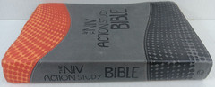 The NIV Action Study Bible – Premium Edition by Sergio Cariello / David C. Cook