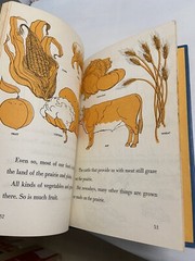 Plains And Prairies by Woods Palmer Jr. 1968 Hardcover Very Nice Vintage Find