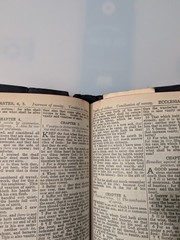Vintage Holy Bible Illustrated With the Words of Christ Printed in Red (1940’s)