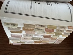 ESV The Jesus Bible in Light Peach Floral Leathersoft