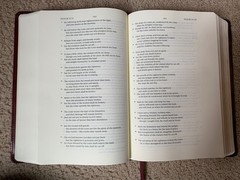 ESV Story of Redemption Bible TruTone 2018 Imitation Leather