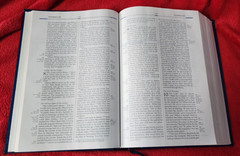 Freedom in Christ Bible New International Version Discovery Zondervan 2001 HB