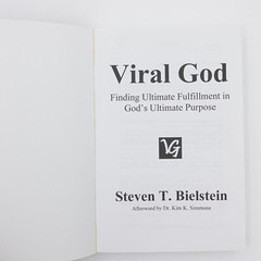 Viral God by Steven T. Bielstein (2014, Trade Paperback) VGC 341 pages