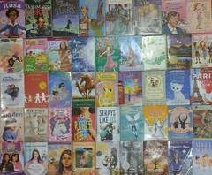 RANDOM Lot of 15 4th Grade AR Chapter Books RL Level 4.0-4.9 Homeschool Teacher