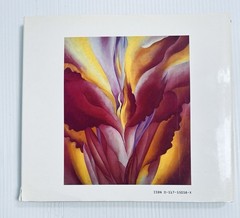 Georgia O Keeffe Art and Life Castro Book with 136 Color Illustrations Edition