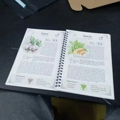 The Natural Healing Handbook, Spiral-Bound Guide for Herbal Remedies and Natural