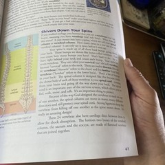 Exploring Creation with Human Anatomy and Physiology (Young Explorer Series)