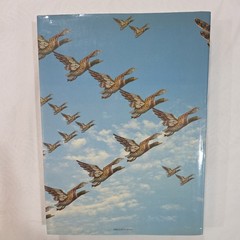 Jewelry of the 1940’s and 1950’s by Sylvie Raulet HC