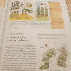 Back to Basics Book Traditional Skills Buying/Working Land Livestock Energy