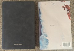 The Catholic Column Journaling Bible Blessed Is She Edition Slate Suede Cover