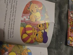 The Berenstain Bears 17 Book Lot Total Huge Lot Bundle