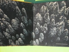 THE NORTHWEST COAST TIME-LIFE THE AMERICAN WILDERNESS (1973 HARDCOVER 184 PAGES)
