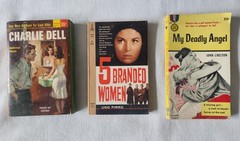Lot of 18 Vintage Mystery Pulp Paperbacks: Halliday, Kaufman, Stout, Coxe, Ronns