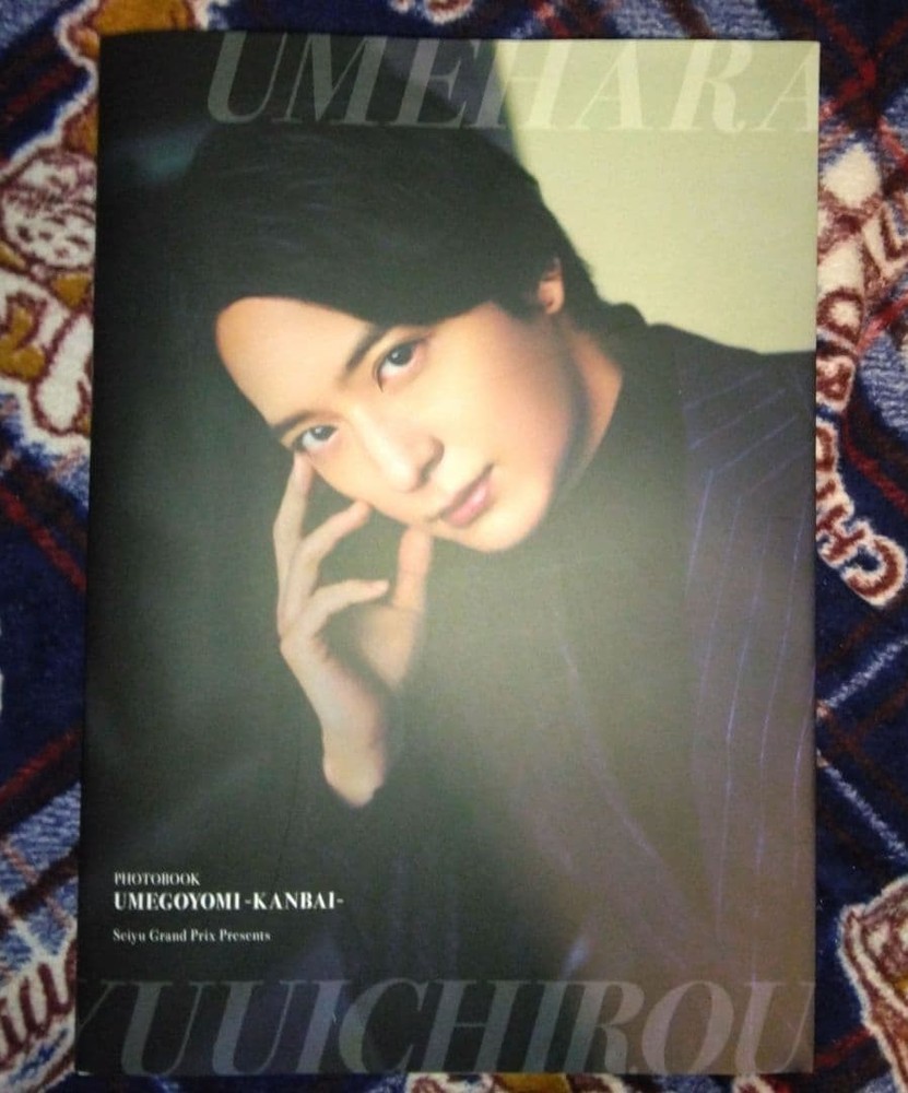 Yuichiro Umehara Photobook UMEGOYHirHiromi-KANBAI