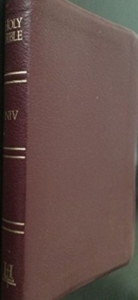 Pocket-Size Bible, NIV, Original Text