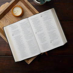 NABRE, New American Bible, Revised Edition, Catholic Bible, Large Print Edition,