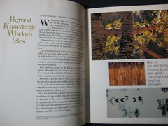 National Wildlife Magazine August/September 1972 [Single Issue Magazine] Natio..