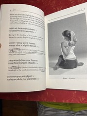 The Hatha Yoga Pradipika, Sanskrit w/ English Translation by Brian Dana Akers PB