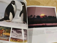 The Complete Course in Professional Photography by NYI ~ Books 3-6 in Set