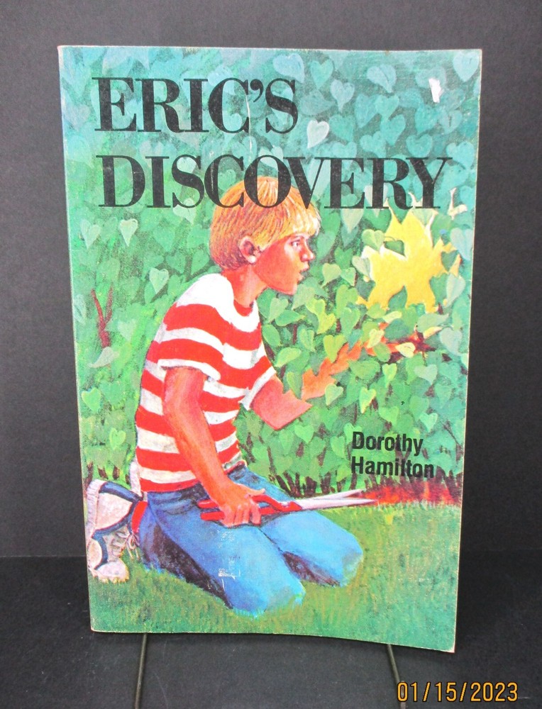 Eric’s Discovery by Dorothy Hamilton (1979, Paperback, Herald Press)