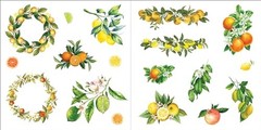Bunches of Botanicals Sticker Book (Over 500 stickers!) – NEW
