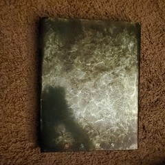 Bioshock 2 Special Edition Strategy Guide Brady Games with the Lithographs