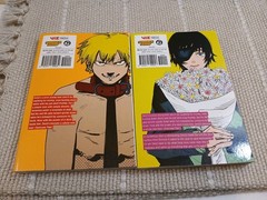 Classic Shonen & Dark Fantasy Magna Action Mixed Lot (17 Books) -bk2.1