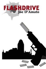 Flash Drive (Paperback or Softback)