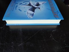 Mockingjay Suzanne Collins 2010 HCDJ 1st First Edition 1st Printing Book Jacket