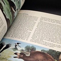 THE WORLD OF BIRDS By Roger Tory Peterson & James Fisher – Hardcover *Excellent*