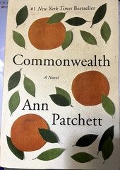 Commonwealth: A Novel – Paperback By Patchett, Ann – VERY GOOD