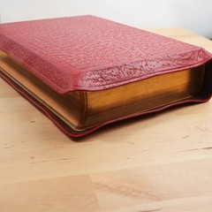 Holy Bible edited by Rev. John P. O’Connell (The Catholic Press, 1952)