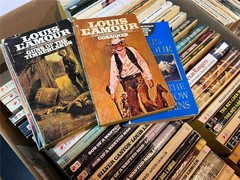 Louis L’Amour Western Paperbacks – Pick Your Own Lot | Multiple Titles