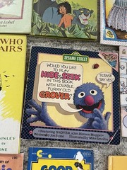 Children’s Picture Book Lot