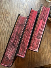 Michelangelo 3 Volume set (Youth, The Medici Chapel, The Tomb of Julius II)