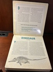 Photicular Ser.: Dinosaur : A Photicular Book by Kathy Wollard and Dan Kainen…