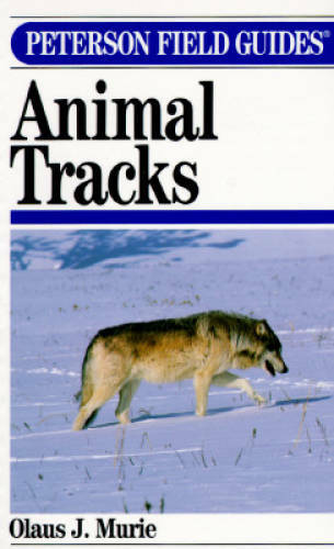 Peterson Field Guide(R) to Animal Tracks: Second Edition (Peterson Field – GOOD