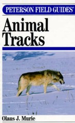 Peterson Field Guide(R) to Animal Tracks: Second Edition (Peterson Field – GOOD