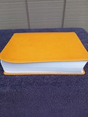 CBS Christian Standard Lifeway Women’s Bible Marigold LeatherTouch READ DESCRIPT