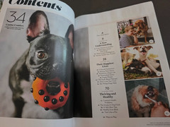 A Dog’s Life-Special Edition Magazine by Paw Print-How They Think, Feel & Thrive