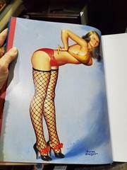 THE GREAT AMERICAN PIN-UP Martignette & Meisel HUGE 280 pages 2011 1st 246810975