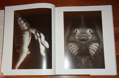AQUATICS-Abstract Aquatic Life Photographs-Henry Horenstein-BRAND NEW 1st HC dj!