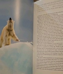 Our Planet by Alastair Fothergill, Keith Scholey, et al. (Hardcover, 2019)