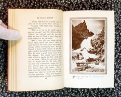 Buffalo Roost, F. H. Cheley, 1913, First Edition, Hardcover, Antique