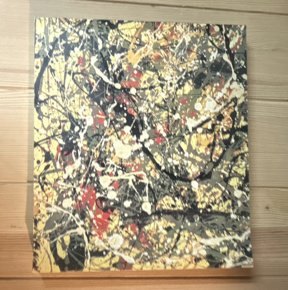 Harry N. Abrams Jackson Pollock Ellen G. Landau Illustrated (2005, PB)