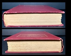 1910s ANTIQUE BOOK 1st Edition HC Democracy CHRISTIANITY social justice GOSPEL
